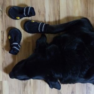 3 Dog shoes 🐕🥾🥾🥾